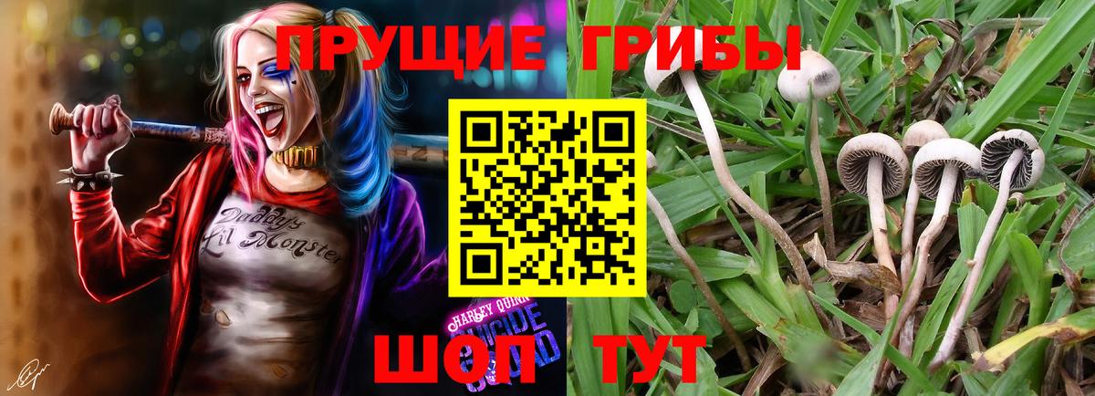 Псилоцибиновые грибы Magic Shrooms Острогожск