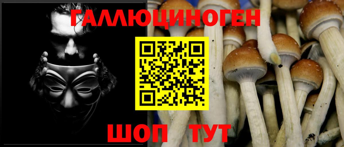 сколько стоит  Псилоцибиновые грибы мухоморы  Вход с VPN  Острогожск 